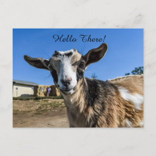 Goat hälsning vykort