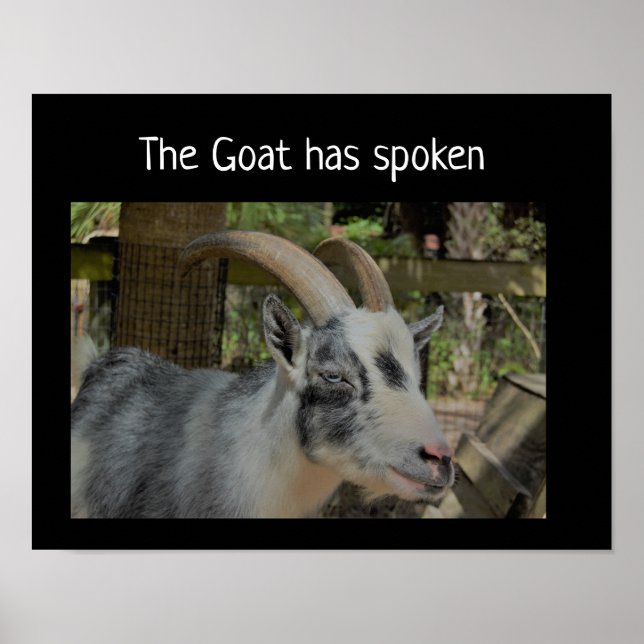Goat har poster (Framsidan)