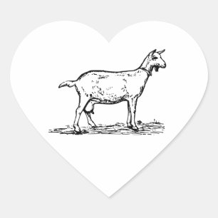 Goat Hjärtformat Klistermärke