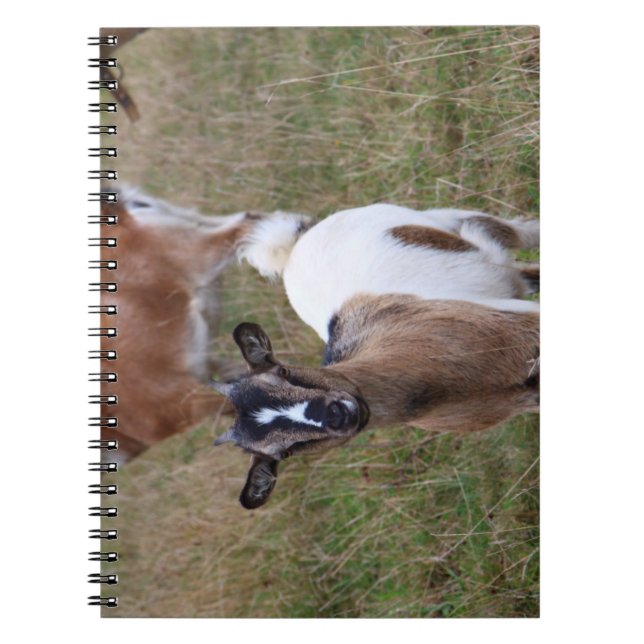 Goat i fält anteckningsbok (Framsidan)