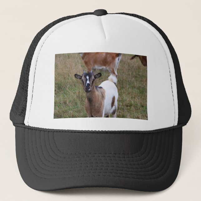 Goat i fält keps (Framsida)