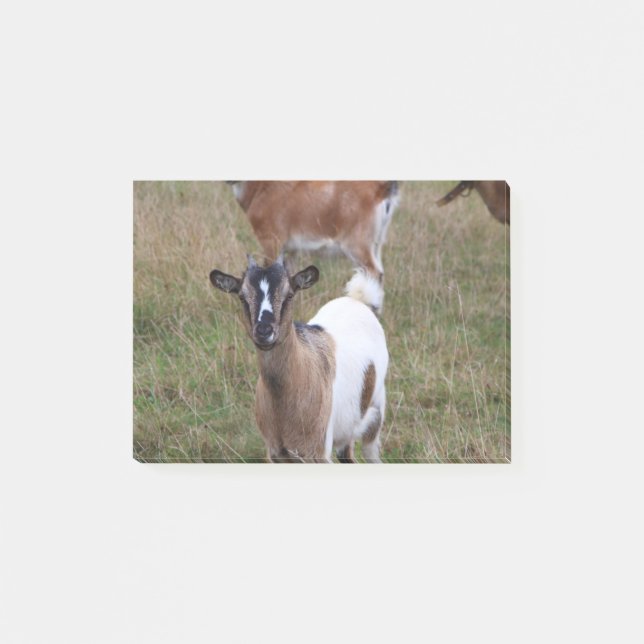 Goat i fält post-it block (Framsida)