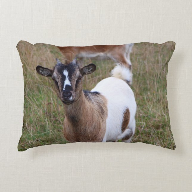 Goat i fält prydnadskudde (Framsidan)