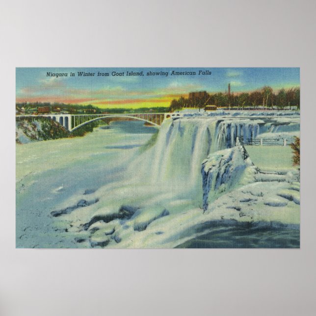 Goat Island View of American Falls in Winter Poster (Framsidan)