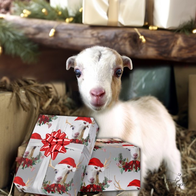 Goat jul Adsible LaMancha Kid in Antlers Presentpapper (Skapare uppladdad)