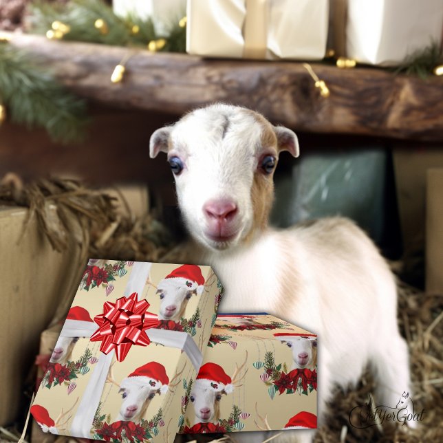 Goat jul Adsible LaMancha Kid in Antlers Presentpapper (Skapare uppladdad)