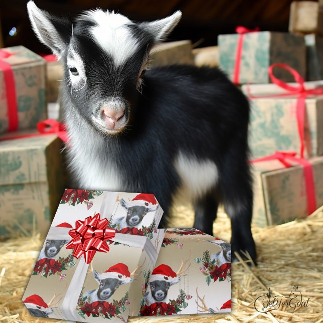 Goat jul Cute Pygmy Baby Goat in Antlers Presentpapper (Skapare uppladdad)