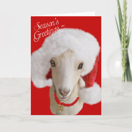 Goat julkort LaMancha Goat Helgkort