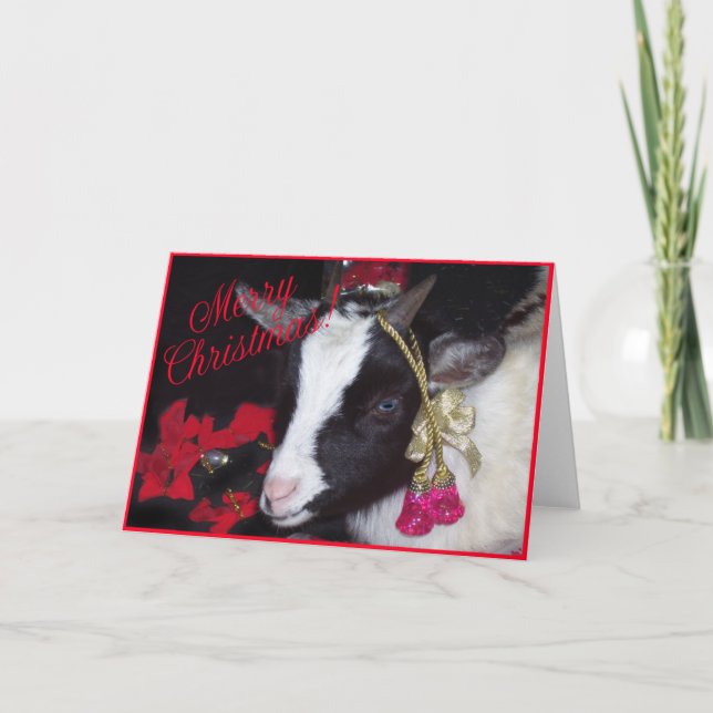 Goat julkort Rufus Helgkort (Framsida)