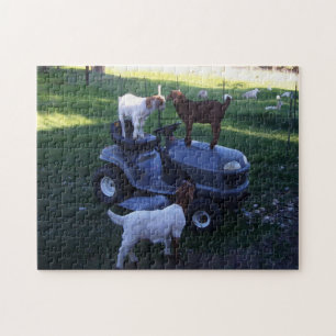 Goat Kids på som Mower Pussel