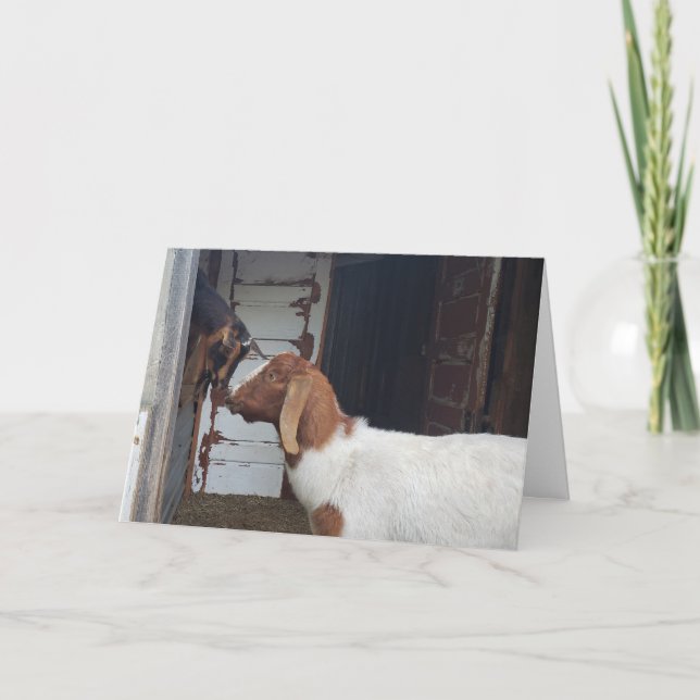 Goat Kisses Personlig Hälsning Kort (Framsida)