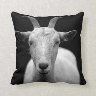 Goat Kudde