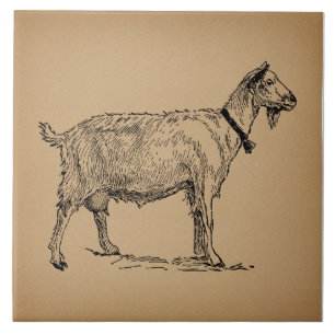 Goat med Bell Illustration Antique Åldras Brown Kakelplatta