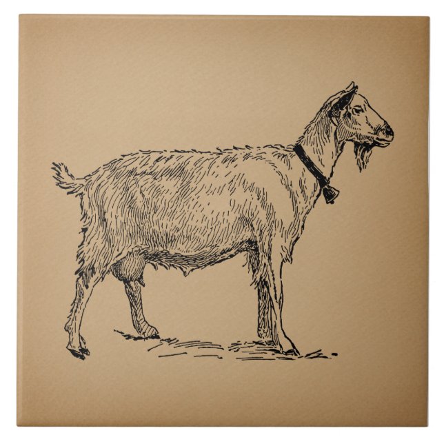 Goat med Bell Illustration Antique Åldras Brown Kakelplatta (Framsidan)