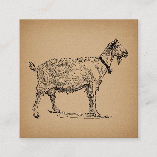 Goat med Bell Illustration Antique Åldras Brown Tilläggskort (Framsida)