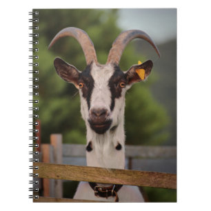 Goat med Horns som står upp mot Fence Anteckningsbok