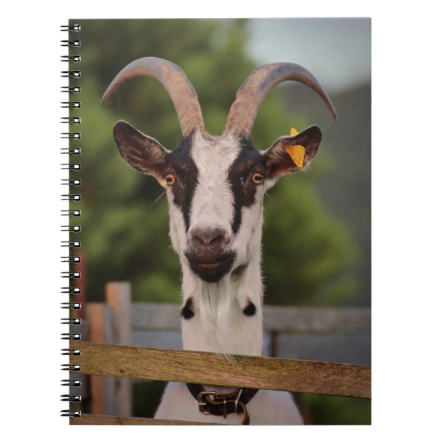 Goat med Horns som står upp mot Fence Anteckningsbok (Framsidan)