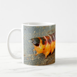 Goat Moth Caterpelare Kryp Mugg