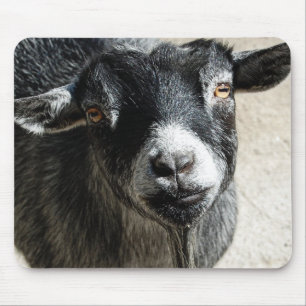 Goat Mouse Pad Musmatta
