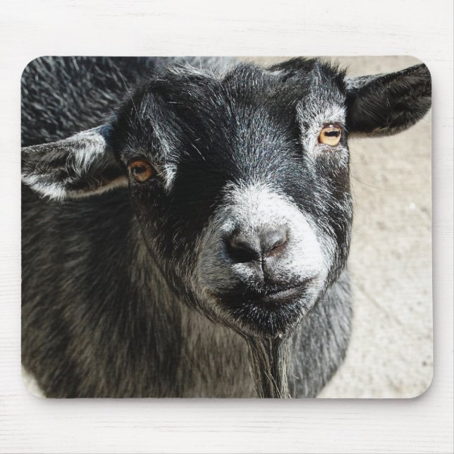 Goat Mouse Pad Musmatta (Framsidan)