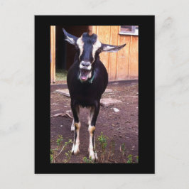 Goat namngivet blomstervykort vykort