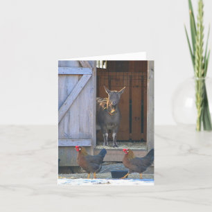 Goat och Chicken Farmyard Note Card Kort