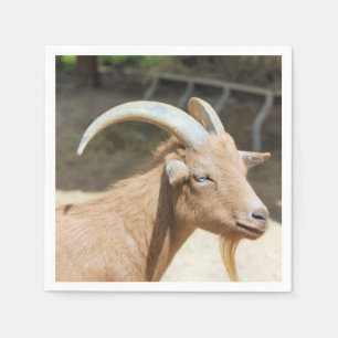 Goat Pappersservett