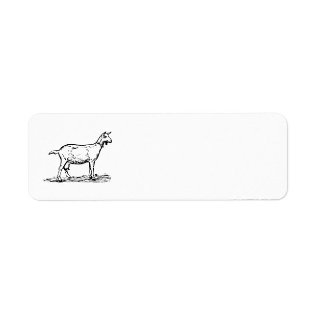 Goat Returadress Etikett (Framsidan)