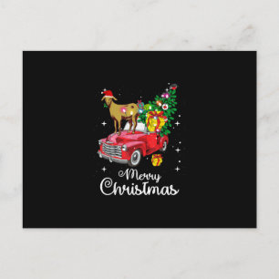 Goat Rides Red Car jul Meddelande Vykort