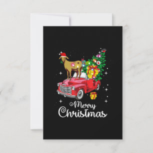 Goat Rides Red Car jul OSA Kort