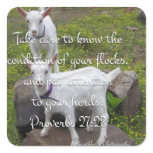 Goat Scripture-etikett