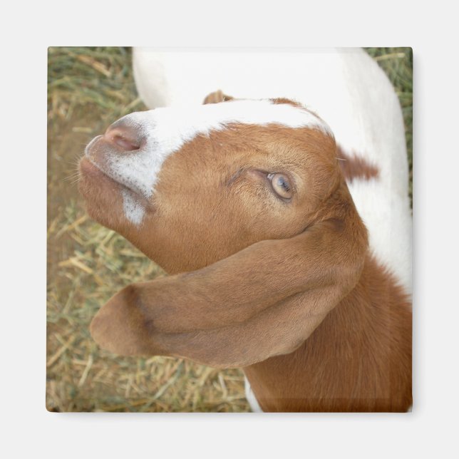 Goat-se Magnet (Framsidan)