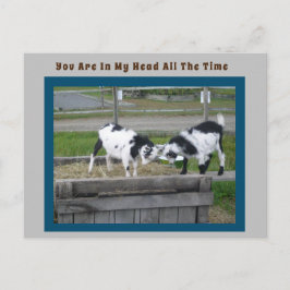 Goat Sense-vykort Vykort