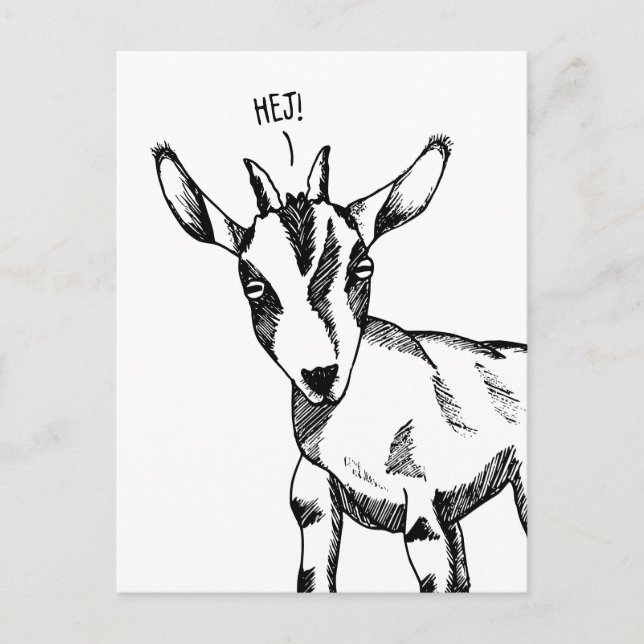 Goat Sketch säger "Hej"! Vykort (Framsida)