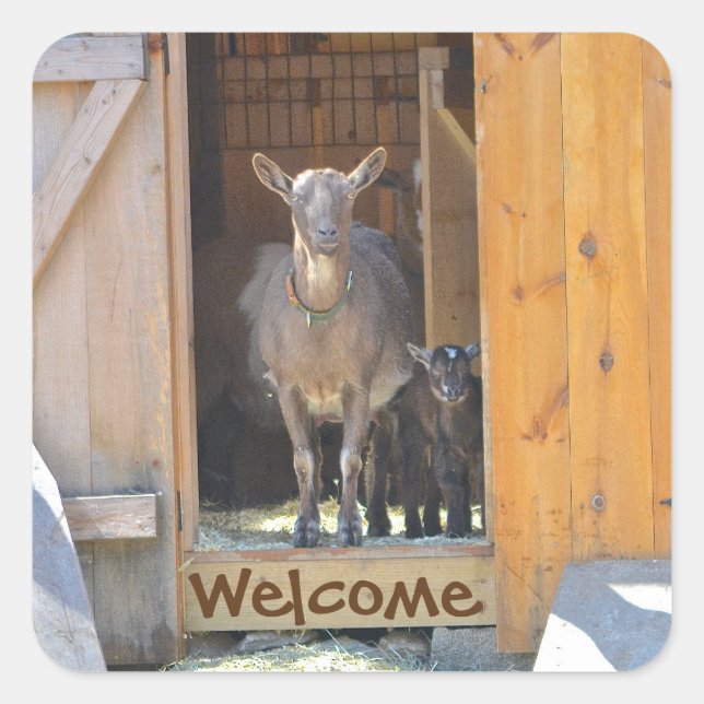 Goat Sticker Fyrkantigt Klistermärke (Framsida)