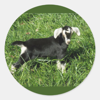 Goat Stickers set på 20 Runt Klistermärke