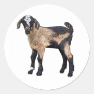 Goat Stickers uppsättning 6 Runt Klistermärke