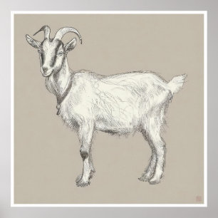 Goat Teckning - Arkivering Skriv ut Poster