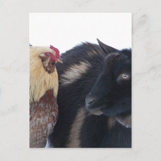 GOAT&TUPP VÄNNER I SNÖ VYKORT