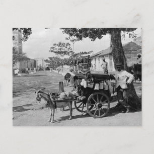 Goat Wagon Peddler, Kuba: 1920 Vykort