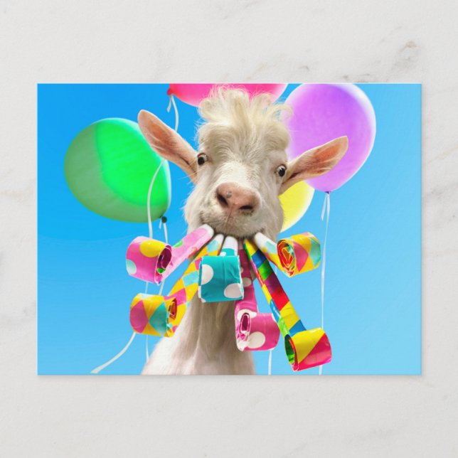 Goat with Party Blowers Vykort (Framsida)