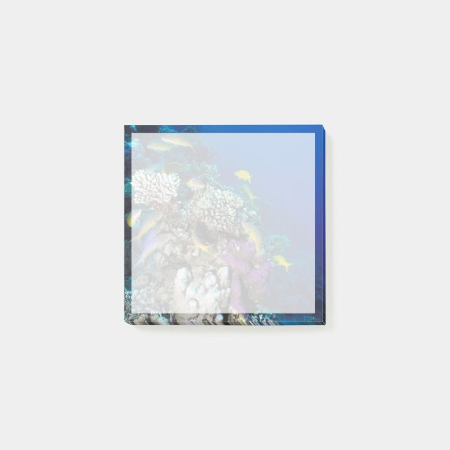 Goatfish Svarmt runt liten korall Post-it Block (Framsida)