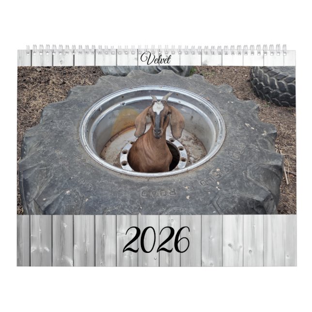 Goats of 2026 calendar kalender (Omslag)