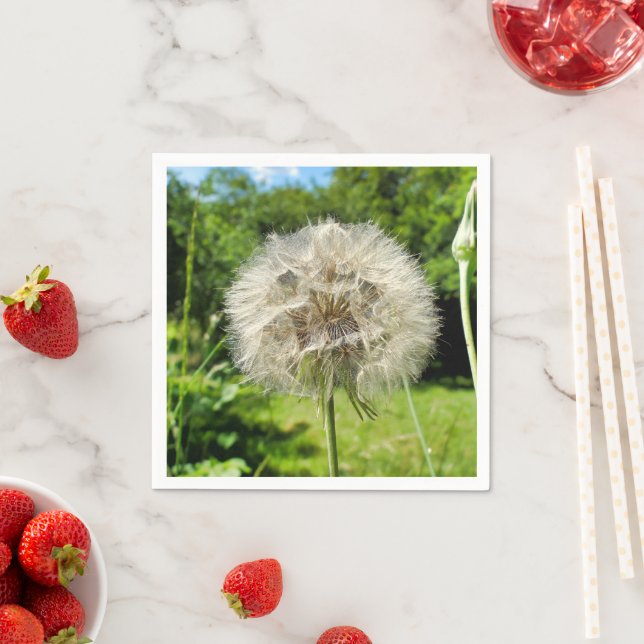 Goatsbeard WildblomPappra blöjor Pappersservett (Insitu)