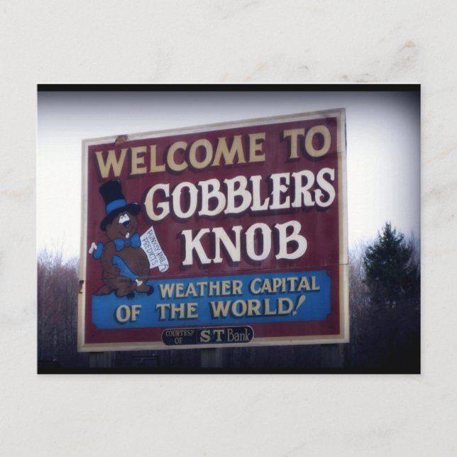 Gobblers Knob Punxsutawney, Pennsylvania Vykort (Framsida)