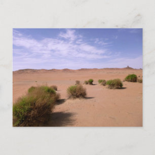 Gobi Desert-vy Vykort