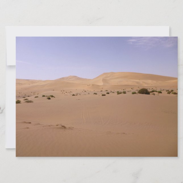 Gobi Sand Dune (Framsida)
