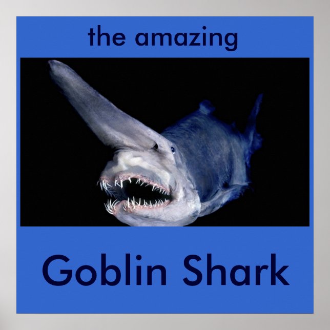 Goblin Shark Poster (Framsidan)