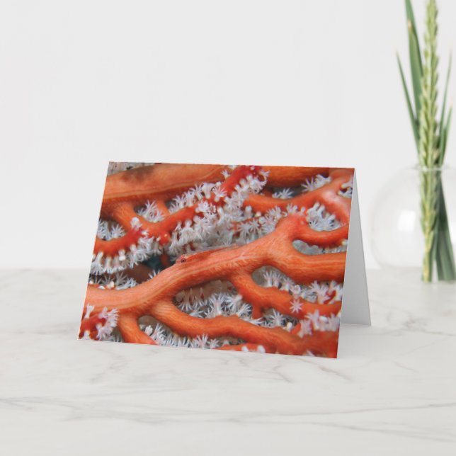 Goby Kort (Framsida)