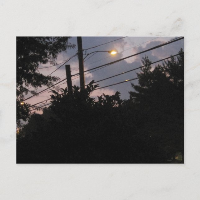 God afton Silhouettes Vykort (Framsida)